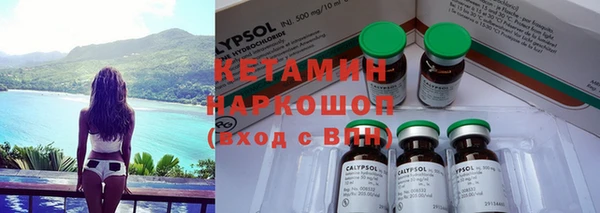 стаф Белокуриха