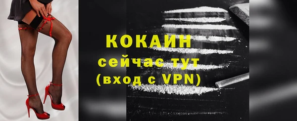 дживик Баксан