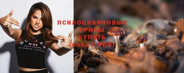 стаф Белокуриха