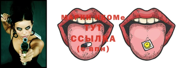 стаф Белокуриха