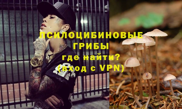 стаф Белокуриха