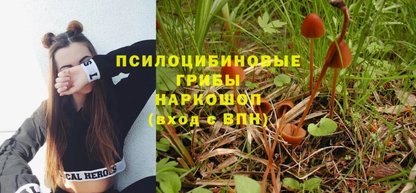 альфа пвп Беломорск
