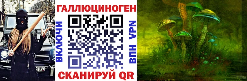 Галлюциногенные грибы Psilocybe  цены   Наволоки 